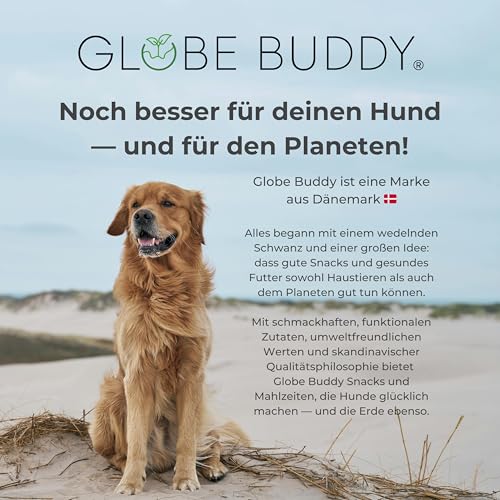 Veggie Crunch – Vegane Hundeleckerlis aus Gemüse & Früchten, Zertifiziert vegan – Nachhaltige, getreidefreie Snacks ohne künstliche Zusätze – 200 g