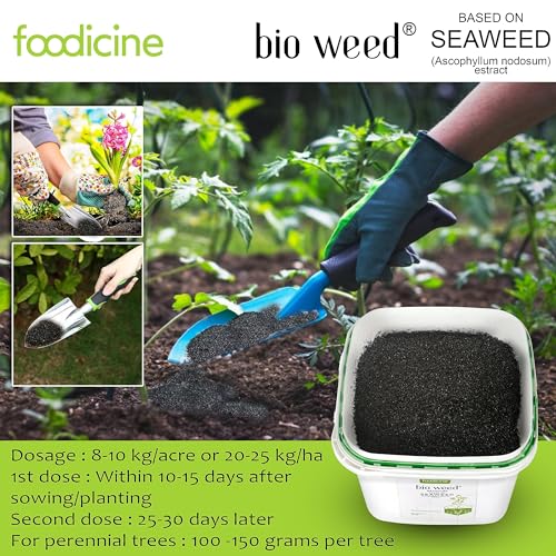 Image of Bio Weed 10 KG - Seaweed Extract Granules Premium Plant Fertilizer and Growth Promoter for All Types of Plants