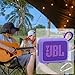 for JBL Go 4 Waterproof Bluetooth Speaker Silicone Cover Case, Portable Silicone Travel Case with Carabiner, Protective Skin Case (Purple Case) - co2CREA