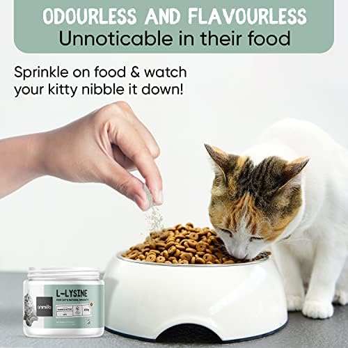 100% Pure L-Lysine For Cats - 250g - Non-GMO, Gluten-free, Dairy-free, Odourless Lysine Powder For Cats - High Strength Immune Support For Cats - For Mood, Immunity, Eye, Brain & Respiratory Health