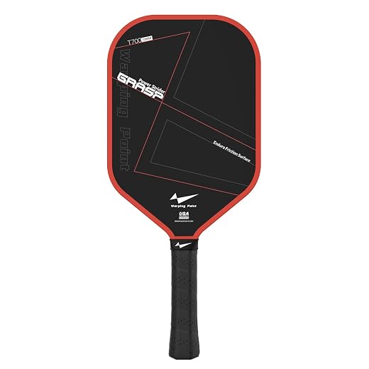 Premium Carbon Fiber Pickle Ball Paddle, USAPA Approved - $39.98
