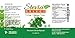 Stevia Select Plain Stevia Liquid Drops - Zero Calorie Sweetener - All Natural Liquid Pure Stevia Extract - Plant Based Sugar Substitute - Keto Sweetener & Sugar Alternative 2 Oz