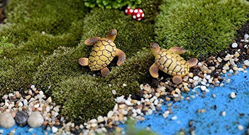 Sunrise 6Pcs Resin Cute Beach Sea Turtle Miniature Figurine Status Micro Landscape Decorations Fairy Gardens Dollhouse Diy Ornaments Decor #TOP4