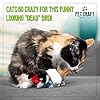 Pet Craft Supply Kitty Condor Crazy Catnip, Funny Cuddling Chasing Hunting Irresistible Stimulating Soft Plush Boredom Relief Interactive Cat Toy with Realistic Feathers, All Breed Sizes (Pack of 2) #3