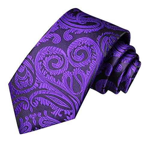 Image of Hi-Tie Mens Paisley Floral Striped Ties Set Silk Necktie and Lapel Pin for Men Pocket Square Cufflinks Set Business Wedding