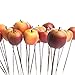 Factory Direct CraftÂ® Group of 24 Assorted Artificial Apple Picks for Home and Seasonal Decor