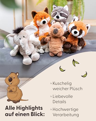 NICI Kuscheltier Quokka Quokka-Mola 22cm braun - Stofftier aus weichem Plüsch, niedliches Plüschtier zum Kuscheln und Spielen, für Kinder & Erwachsene - tolle Geschenkidee - 49818