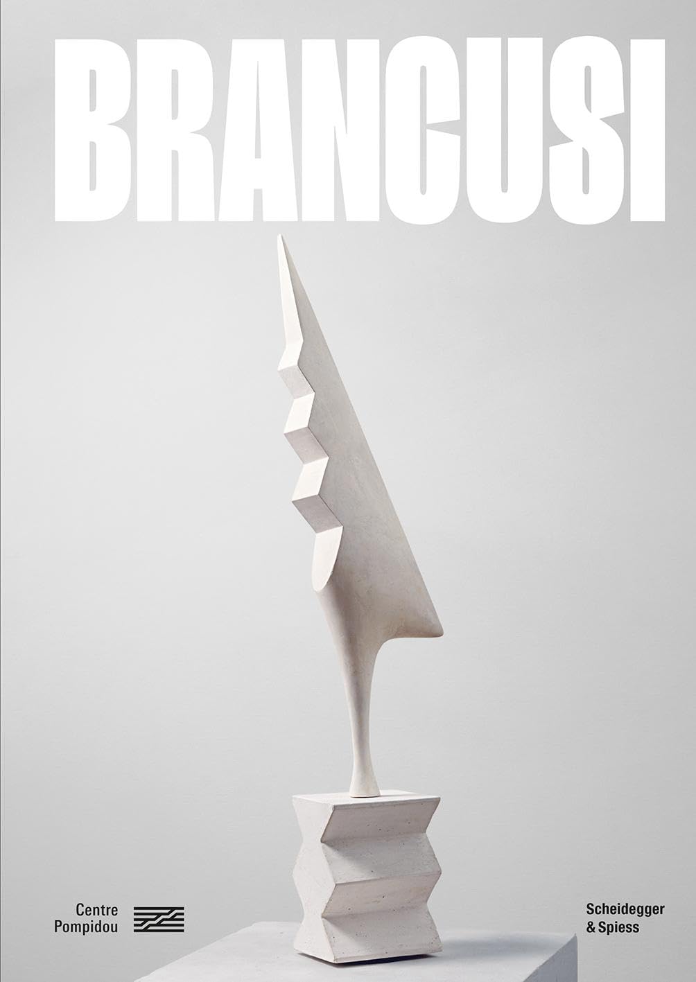 Brancusi: Retrospective