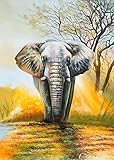 💎La peinture au diamant 5D est également un meilleur choix pour envoyer votre famille et vos amis en cadeau pour exprimer votre meilleur avec. La peinture au diamant convient aux débutants en art, aux favoris de dessin, aux amateurs de bricolage faits à la main. De plus, les kits artistiques sont un fabuleux cadeau pour les anniversaires, la Saint-Valentin, Noël, etc.