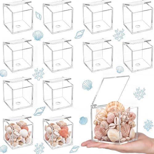 Image of Juexica 12 Pcs Clear Acrylic Boxes with Lid,Flip Style,3.15 x 3.15 x 3.15