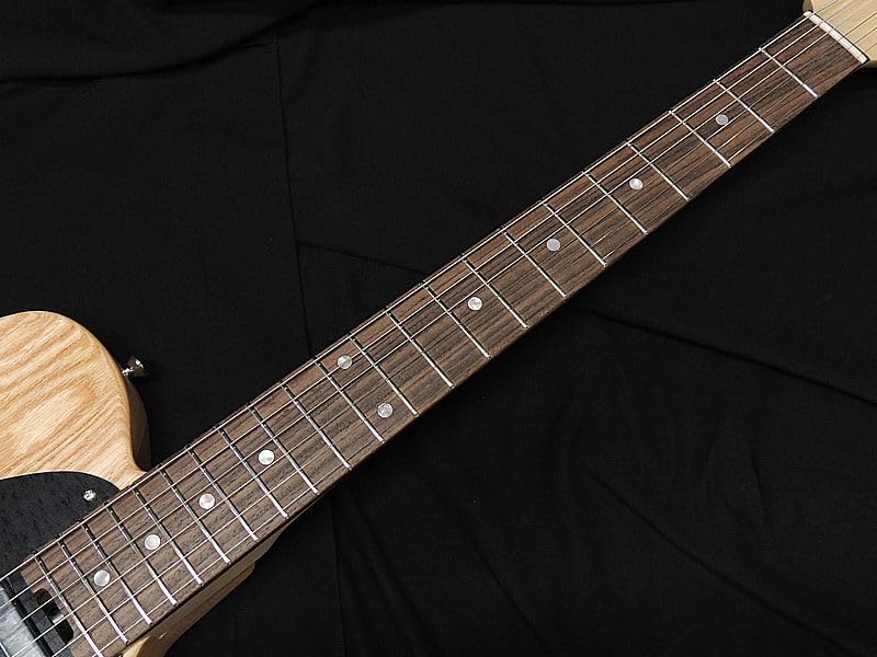 Amazon | SCHECTER PS-S-PT R VT シェクター テレキャスター タイプ