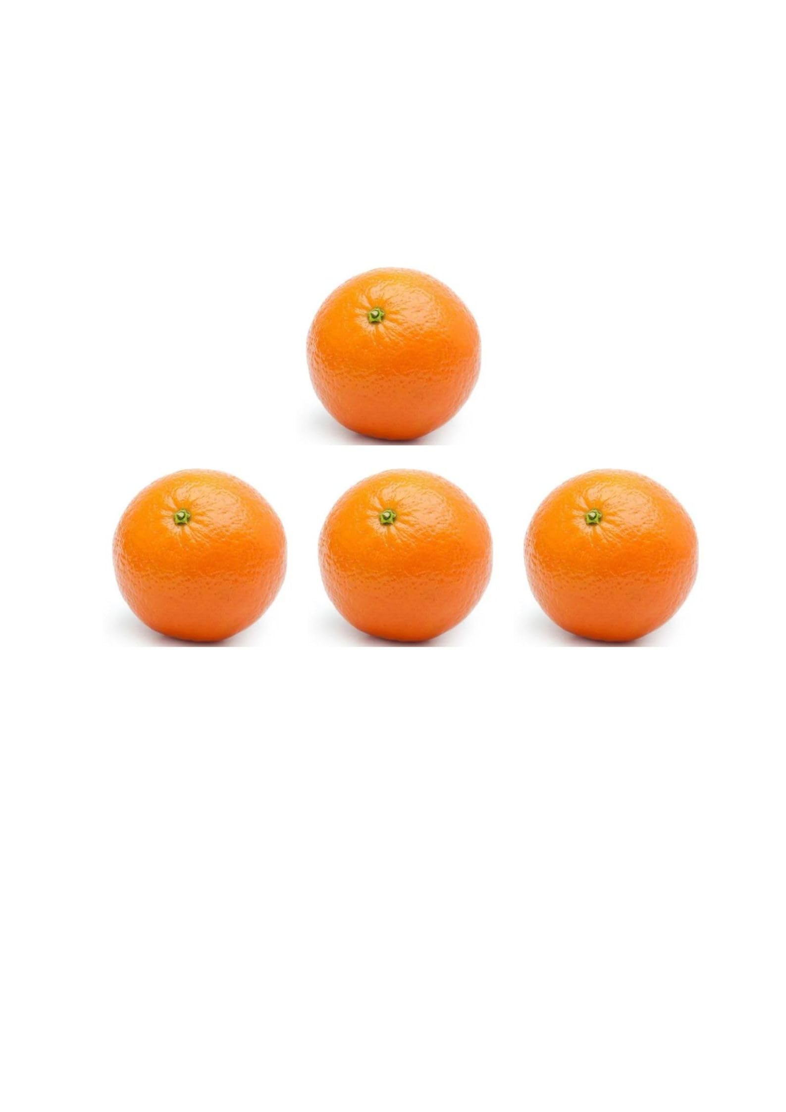 Large Oranges I Pack of 4