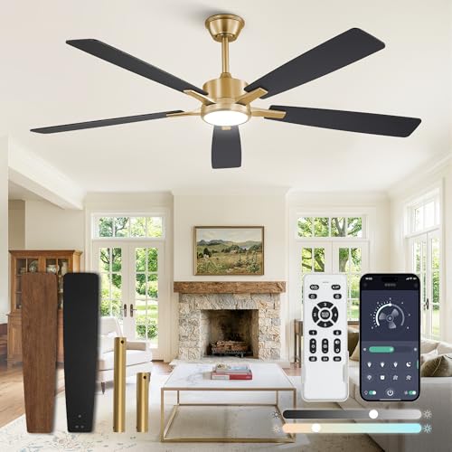 Image of Fanbulous 60 Inch Black and Gold Ceiling Fans with Lights and Remote, Stepless Color Temperature Change & Dimmable 20W LED Ceiling Fan, 6 Speeds Reversible Quiet DC Motor for Bedroom, Living Room