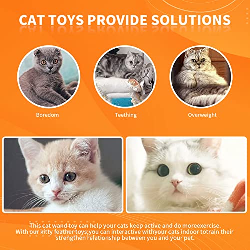 Qzecpd Cat Toys Cat Feather Toys, Suction Cup Cat Toy Cat Feather Toys, Interactive Cat Toy With Super Suction Cup, Interactive Detachable 5 Pcs Replacement With Bells Cat Toys For Indoor Cats #TOP4