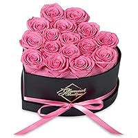27 Rose Conservate In Scatola - Fiori Eterni Per Compleanni, San