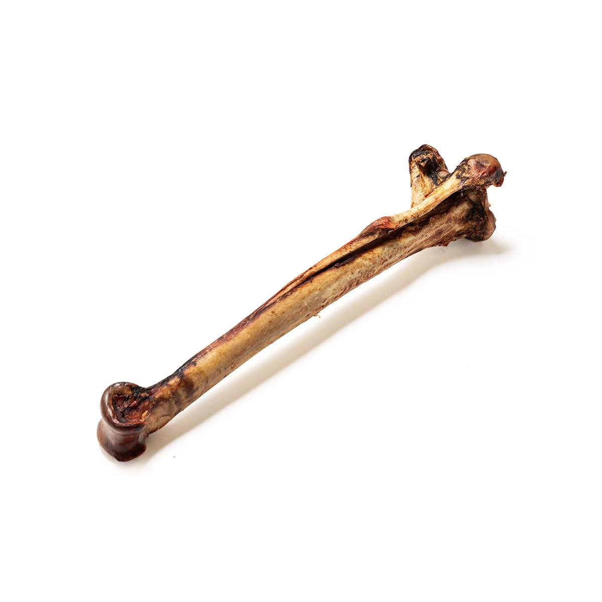 Natural Treats Long Ostrich Metatarsus Bone for Dogs (1pc) Grain-free Low Fat Hypoallergenic Marrow-Filled Dental Chew Treat