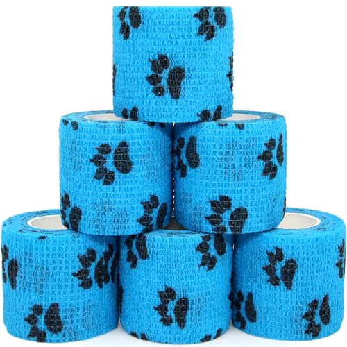 KEQCQE ybgtbNX e[sO e oe[W ybg p L sDz Lk ʋC ^Cv 6 (Light Blue Claw, 5cm)