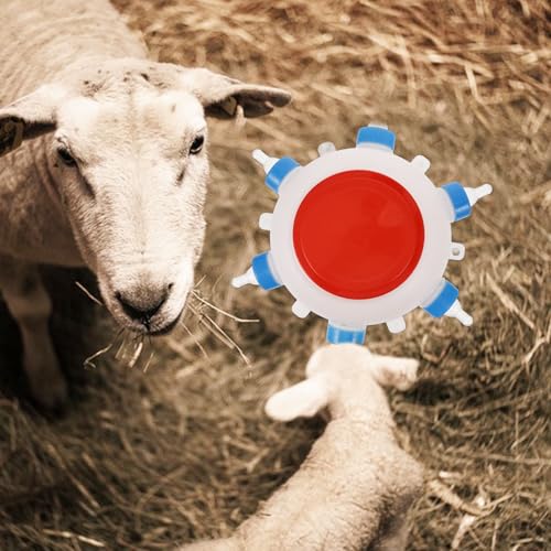 Biberon d'alimentation de 2,5 L indispensable pour l'allaitement à la ferme - 6