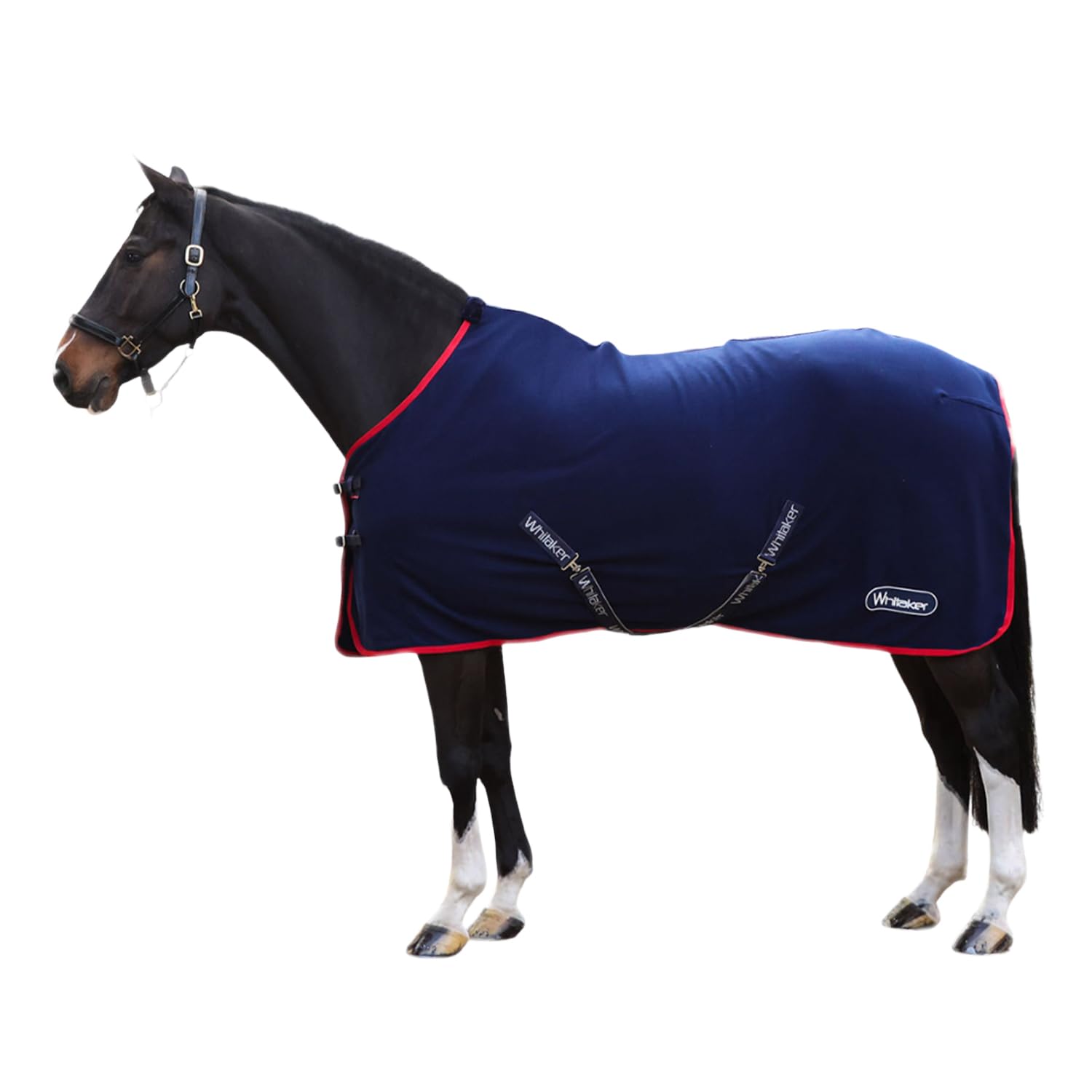 John Whitaker Rastrick Fleece Rug Navy with Red 6ft 3in
