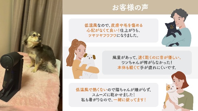 Amazon | ペット ドライヤー 静音 コンパクト 【 テラヘルツ波×W遠