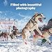 Iditarod: The Great Race to Nome