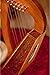 Roosebeck Lily Harp, 8 Strings, Knotwork
