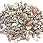 6#. Indian Ocean Tiny Mix Shells, 1/4