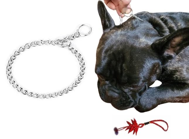 Collier torsadé pour chiens pour l'entraînement et ne plus subir les tractions