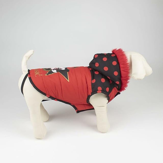 Foto 7 de 8 de Cerdá - Forfanpet - Abrigo de Invierno para Perros de Minnie Mouse - Licencia Oficial Disney