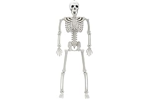 JOYIN 16'' Halloween Posable Skeleton Decorations Outdoor Indoor