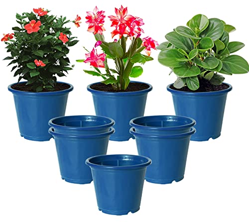 Image of Kuber Industries Durable Plastic Flower Pot|Gamla with Drain Holes for Indoor Home Decor & Outdoor Balcony,Garden,6 inchx5 inch,Pack of 8,(Blue)