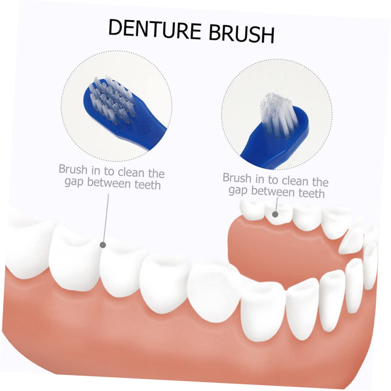 KOMBIUDA 30pezzi Spazzolino Portatile Per Adulti Testina Angolata Per Pulizia Denti e Denti Falsi Per Viaggi e Uso Quotidiano Colori