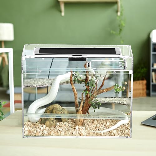 QWORK Caja de Alimentación para Reptiles 30x18x22cm