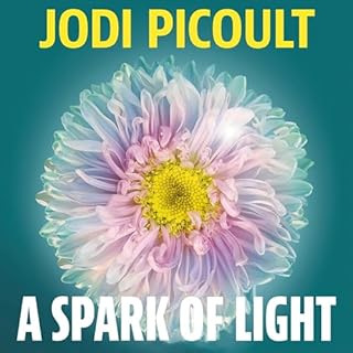A Spark of Light cover art