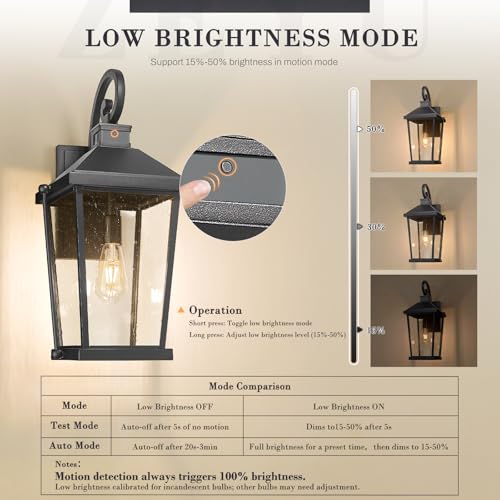 Image of zeyu Large Dusk to Dawn Wall Lamp, 21.5'' Wall Mount Exterior Light Fixture, Black Porch Light with 4 Modes, 220 Detection, Die-Cast Aluminum with Seeded Glass Shade, ZW105B-M-SE BK