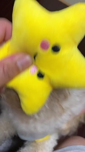 噛み噛みザウルス＆すまいるスターぬいぐるみセット - 犬用知育玩具　歯磨き効果 717dKxkJ0+L._AC_UL210_SR210,