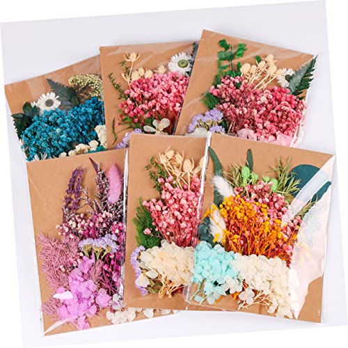 Kit de flores secas para manualidades y decoración miniatura 5