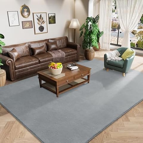 Amearea Large Modern Area Rugs for Bedroom Living Room, 5x8 Feet Grey Thickened Memory Foam Rug, Fluffy Indoor Washable Rugs Non Slip Minimalist Carpet for Boys Girls Dorm Nursery Room Decor Cover