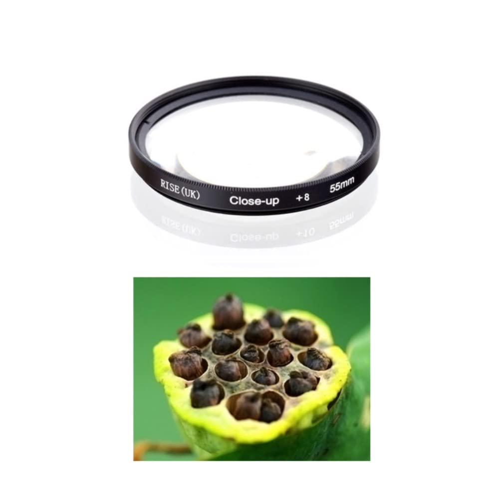 Canon EOS M6 本体 + レンズ2本 + フィルター Amazon | CANON EOS M6 Mark II EF-M18-150 IS STM レンズキット