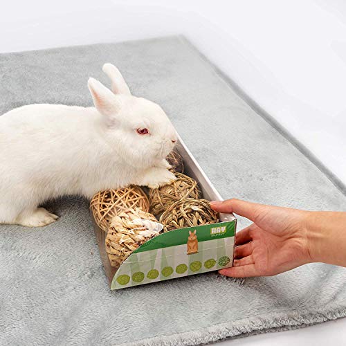 Andwe Small Animals Play & Activity Balls Rolling Chew Toys For Rabbits Guinea Pigs Chinchilla thumb #5