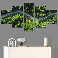 SIGNWIN 5 Panel Canvas Wall Art Modern Art Aerial Expressive Global Landscape Mountain Multicolor Photography for Home Decorations Ready to Hang - 60