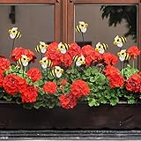 SAINGACE 10 Pcs Bee Decorative Garden Stakes, Shaking Head Yard Art Resin Bees Decorations, Bee Deco