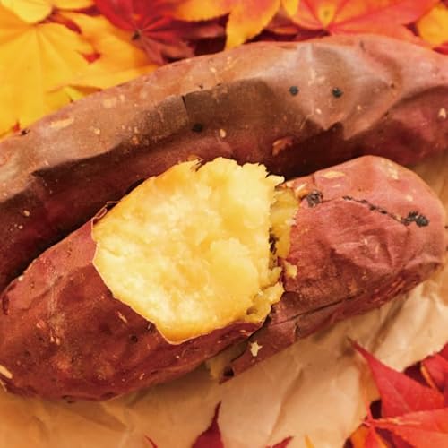 [先行予約]鹿畑ポテト小屋の生さつまいも 紅はるか 計 約5kg(4kg+約25%補償分) [鹿嶋市 減農薬 熟成 貯蔵 サツマイモ 生芋 べにはるか 5キロ 10000円以内 1万円以内] (KBR-10)