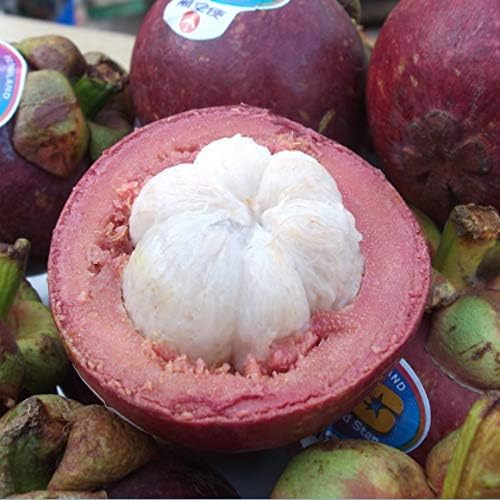 Amazon 南国フルーツ タイ産マンゴスチン8玉 南国フルーツ トロピカルフルーツ 通販