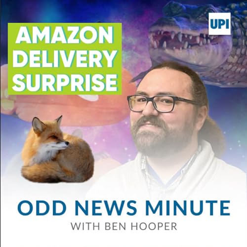 Odds and Ends: Fox in an Amazon van, world's largest afro