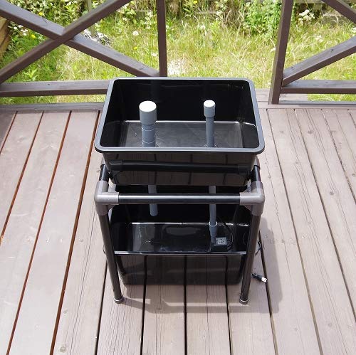 Amazon | アクアポニックス 水耕栽培 小型 キット オーバーフロー 水槽