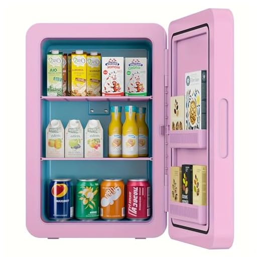 Kikihuose 22L Mini Fridge for All Needs