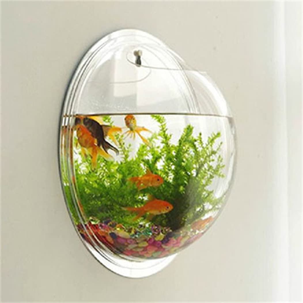 即購入OK シュプリーム 金魚鉢 水槽 フィッシュボウル 2 Amazon | 金魚鉢 水槽 壁掛け水槽 花瓶 半球型 アクリルフィッシュ