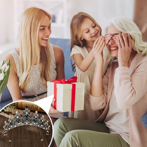 Black Swan Krone,Krone Damen,Königin Kostüm Damen,Black Swan Kostüm,Schwarze Krone Diadem Schwar Krone Damen,Schwarze Kristall-Tiara-Krone Für Damen,Für Braut,Geburtstag,Cosplay-Party