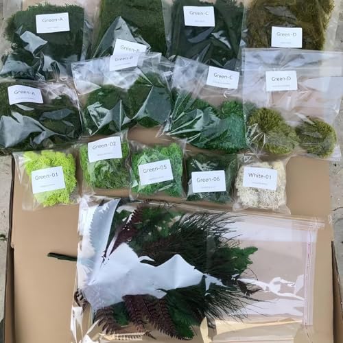 DIY Crafts sortiertes Moos-Set, gemischt, konserviert, stabilisie...